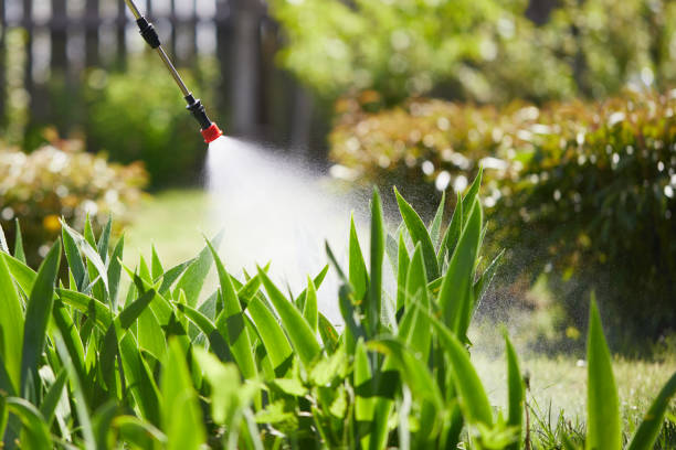 24/7 Emergency Wasp Removal experts in Miami Lakes, FL